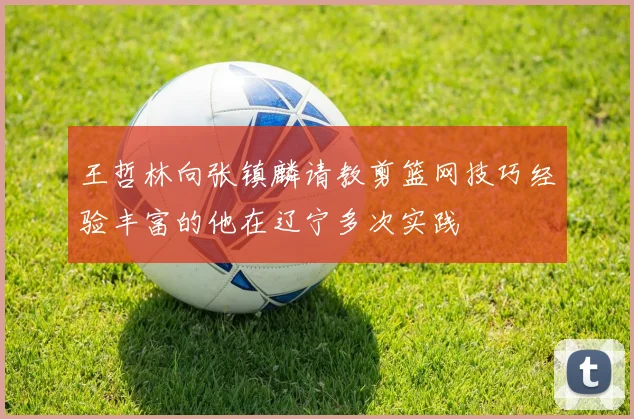 王哲林向张镇麟请教剪篮网技巧经验丰富的他在辽宁多次实践