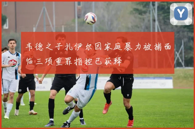 韦德之子扎伊尔因家庭暴力被捕面临三项重罪指控已获释