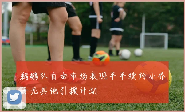 鹈鹕队自由市场表现平平续约小乔丹无其他引援计划
