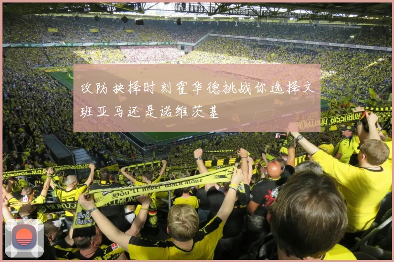攻防抉择时刻霍华德挑战你选择文班亚马还是诺维茨基